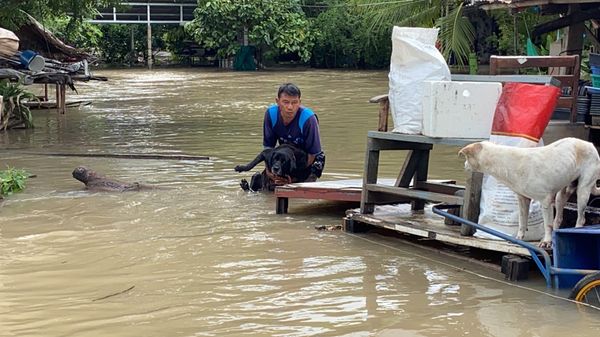 น้ำลำตะคอง ทะลักถึงตัวเมืองโคราช ปชช.ขนของหนีวุ่น!