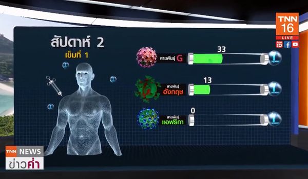 ฉีดวัคซีนโควิดนานแค่ไหน? จะมี ภูมิคุ้มกัน