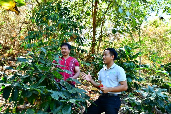 เครือซีพี หนุน “วิสาหกิจชุมชนผู้ปลูกกาแฟบ้านกองกาย” ต้นแบบกาแฟสร้างป่าในพื้นที่ อ.แม่แจ่ม จ.เชียงใหม่
