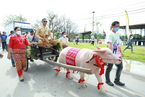 หนึ่ง บางปู แต่งงานกับอดีตสามี สินสอดเป็นพญาควาย 30 ล้าน! 