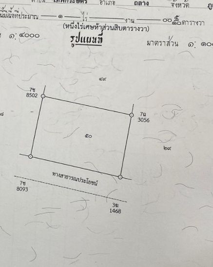 'บุ๋ม ปนัดดา' ถูกเปย์หนัก! แฟนให้ที่ดินภูเก็ตเป็นของขวัญวาเลนไทน์แทนดอกไม้ 