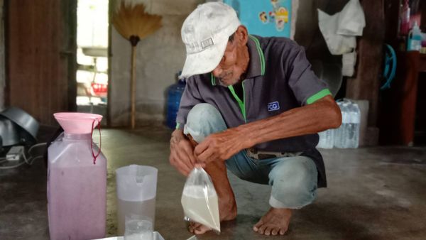 คุณตาสู้ชีวิต! ปีนต้นตาลสูงกว่า 10 เมตรทุกวัน