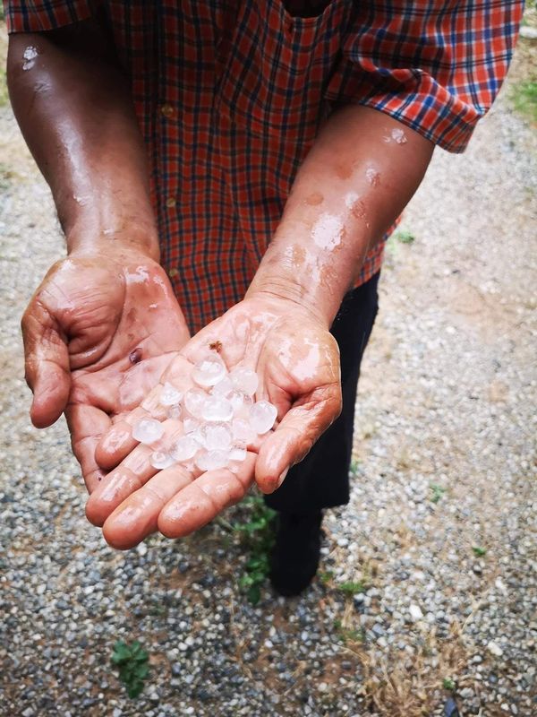 พิษณุโลก! พายุฤดูร้อนพัดถล่ม-ลูกเห็บตก