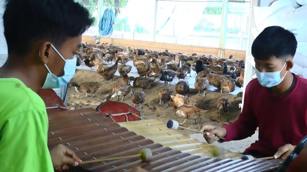 เรื่องราวดีๆ! ครูสอนดนตรีไทย ในฟาร์มเป็ด สร้างรายได้เสริมให้เด็กยุคโควิด