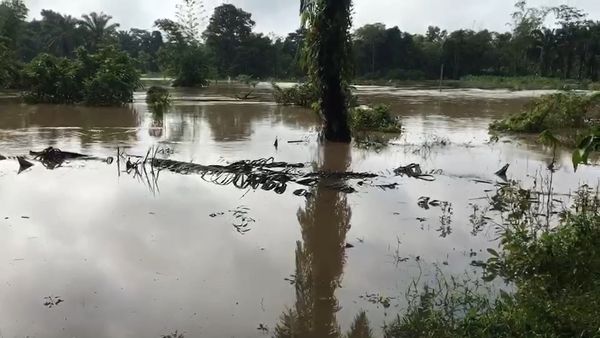 น้ำท่วมกระบี่ ฝนตกหนัก-น้ำหลาก เตือนประชาชนขนของขึ้นที่สูง 