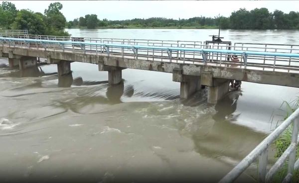 บึงกาฬน้ำท่วมพื้นที่การเกษตร ครอบคลุม 3 ตำบล นับพันไร่