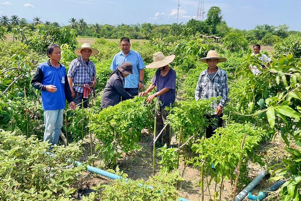 ปันน้ำปุ๋ยสู่เกษตรกร CPF ช่วยเกษตรกรก้าวผ่านวิกฤตภัยแล้ง 