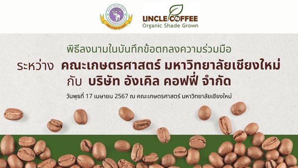 กาแฟอะราบิการักษ์ป่า ความร่วมมือ ม.เชียงใหม่ - อังเคิล คอฟฟี่ ยกระดับเกษตรไทย