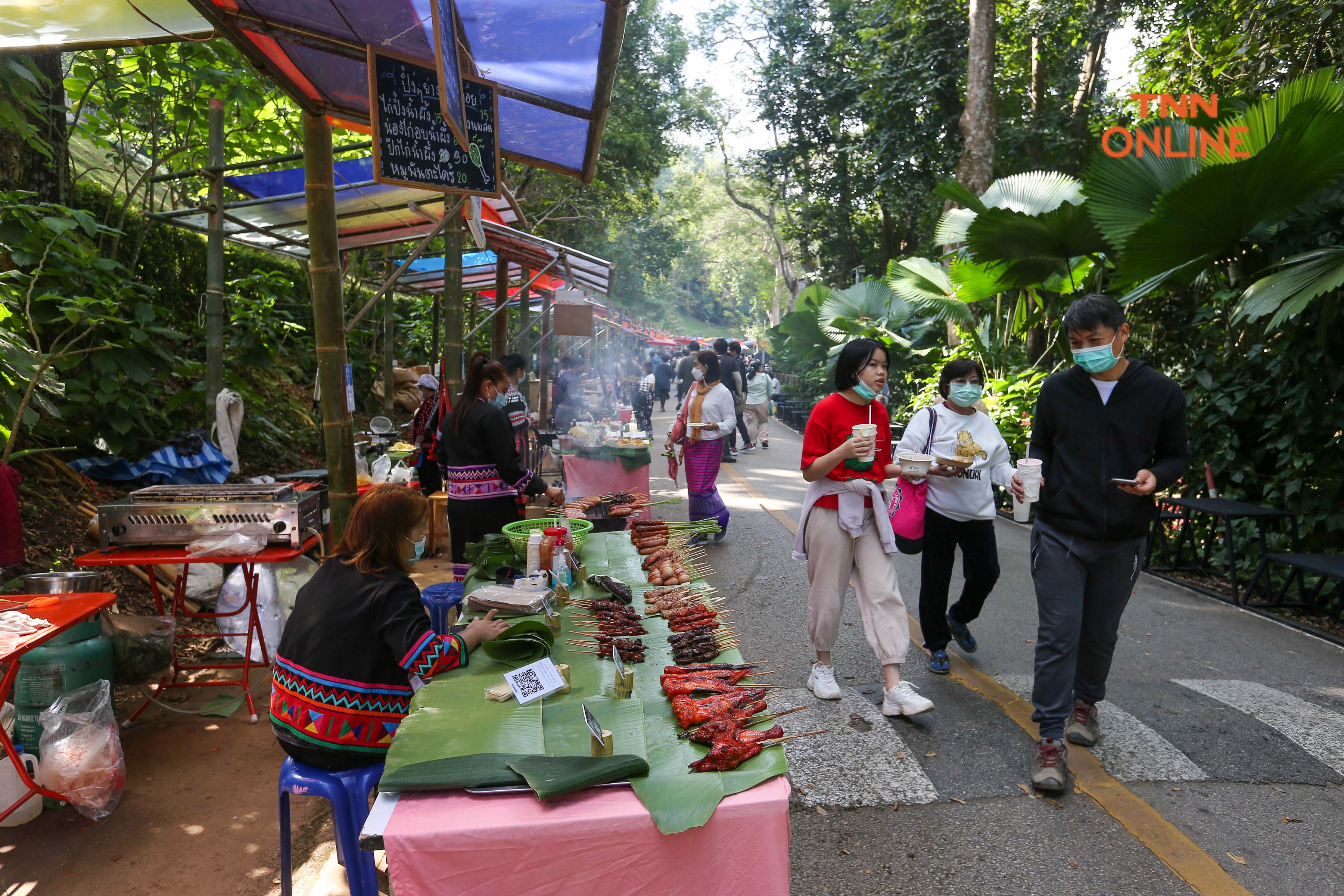 ประมวลภาพ สัมผัสลมหนาวในอ้อมกอดของขุนเขา เที่ยวงาน สีสันแห่งดอยตุง 