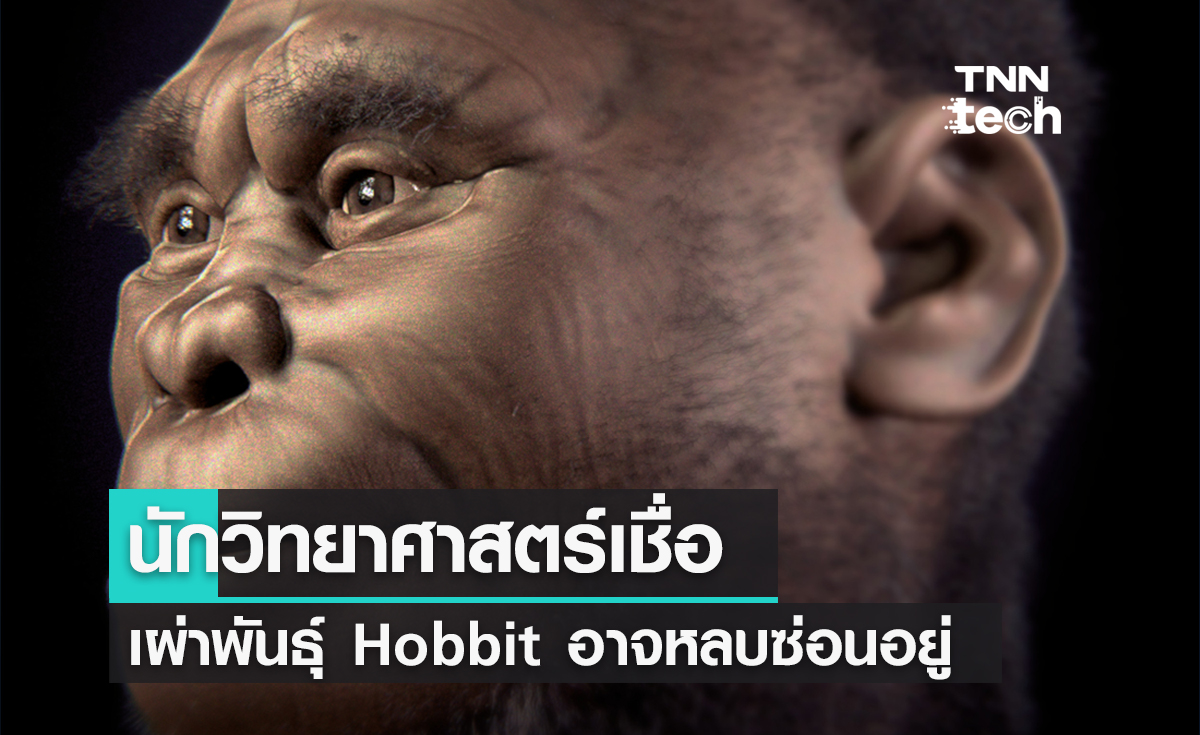 นักวิทยาศาสตร์เชื่อเผ่าพันธุ์ Hobbit อาจหลบซ่อนอยู่ในเกาะแห่งหนึ่งที่ยากต่อการค้นพบ