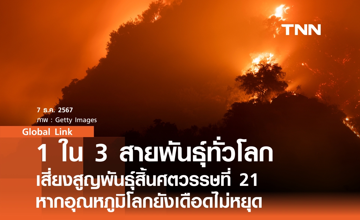 1 ใน 3 สายพันธุ์ทั่วโลก เสี่ยงสูญพันธุ์ปี 2100 หากโลกเดือดไม่หยุด