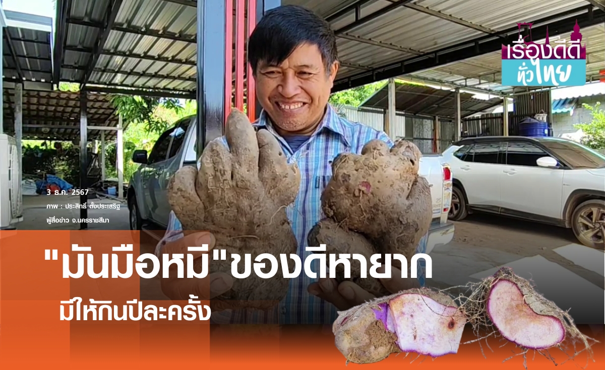 ชาวโคราชขุดมันมือหมี ของดี1ปีมี1ครั้ง I เรื่องดีดีทั่วไทย