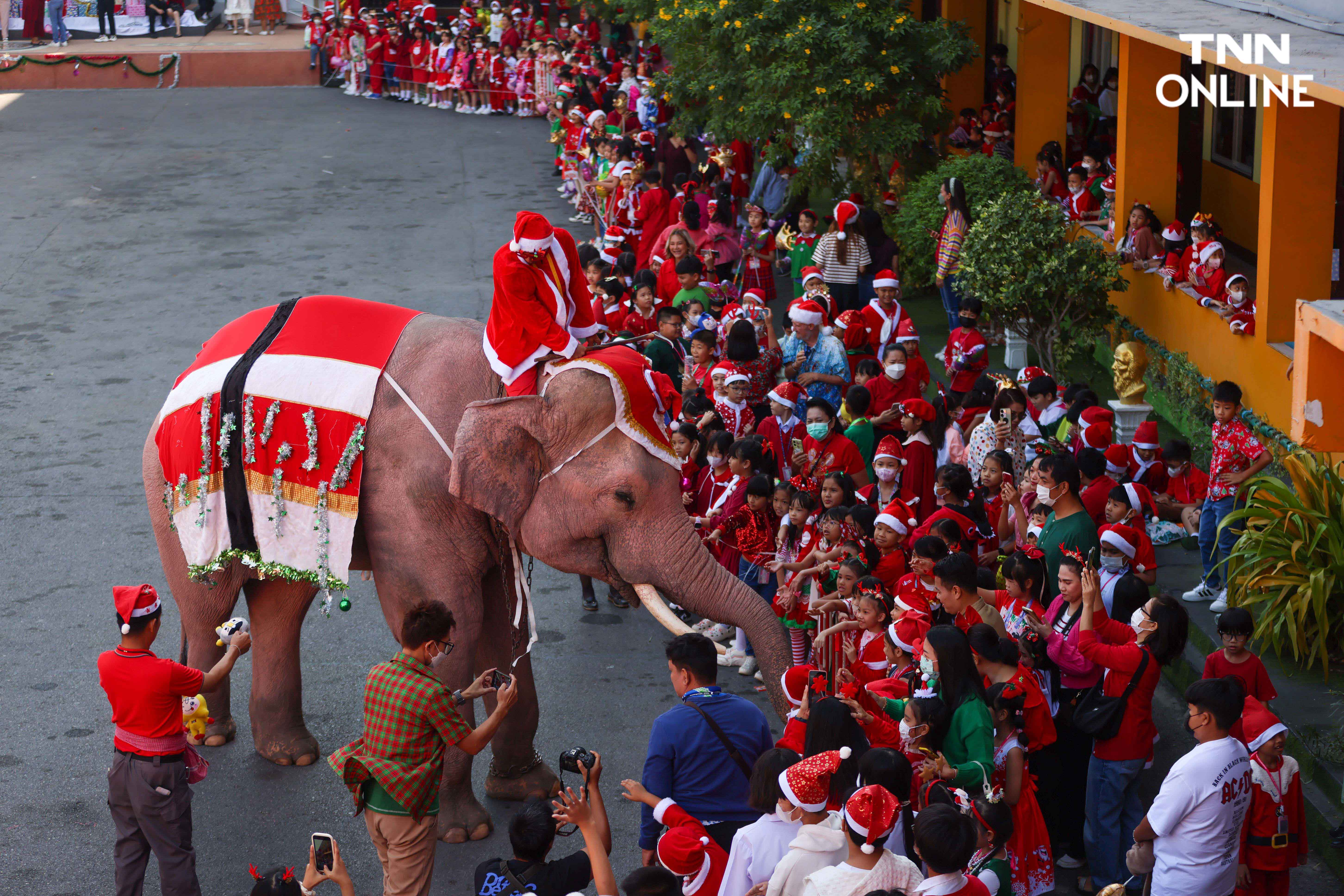 ช้างแปลงโฉมซานตาคลอส มอบความสุขในเทศกาลคริสต์มาส