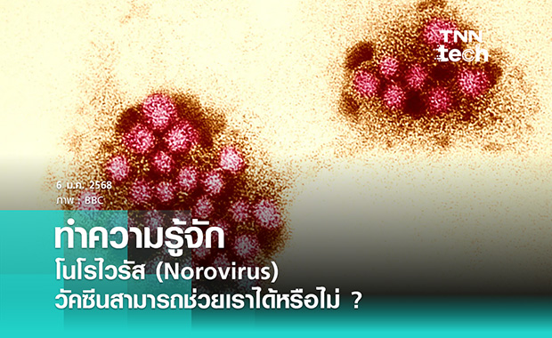 ทำความรู้จัก โนโรไวรัส (Norovirus) วัคซีนสามารถช่วยเราได้หรือไม่ ?