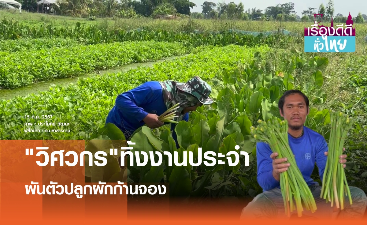 วิศวกรทิ้งงานประจำหันมาปลูกผักก้านจอง I เรื่องดีดีทั่วไทย