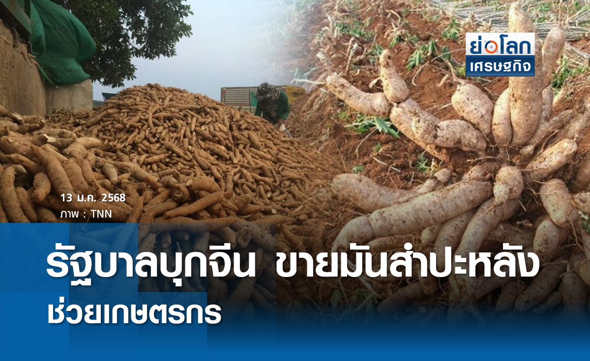 รัฐบาลบุกตลาดจีน ขายมันสำปะหลังช่วยเกษตรกร 