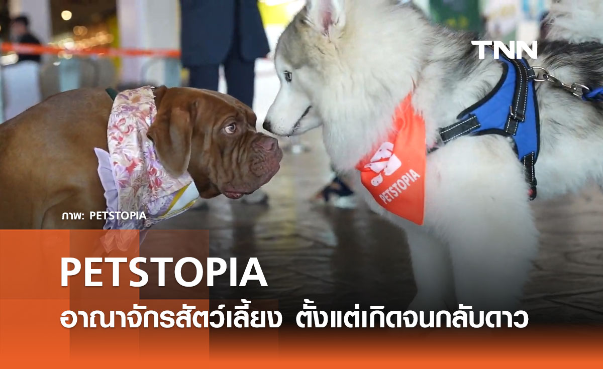 PETSTOPIA อาณาจักรสัตว์เลี้ยง ตั้งแต่เกิดจนกลับดาว