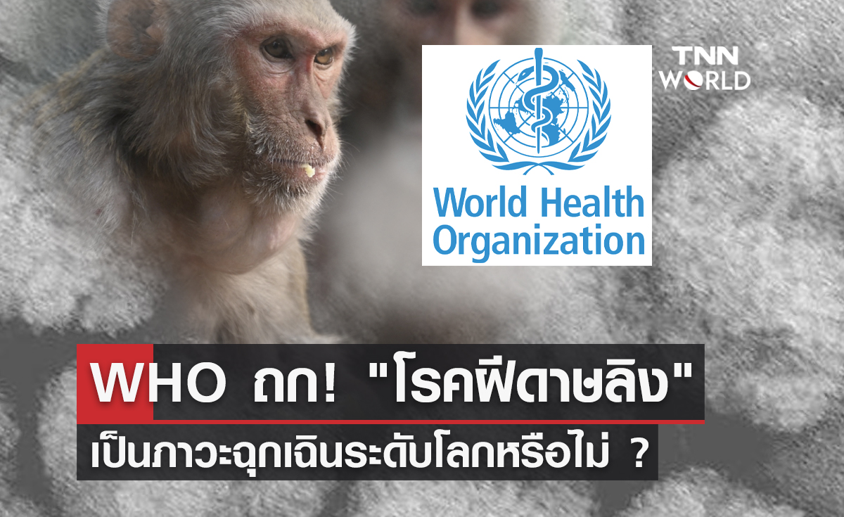  "โรคฝีดาษลิง" WHO ถกเครียด! จ่อประกาศเป็นภาวะฉุกเฉินระดับโลกหรือไม่ ? 