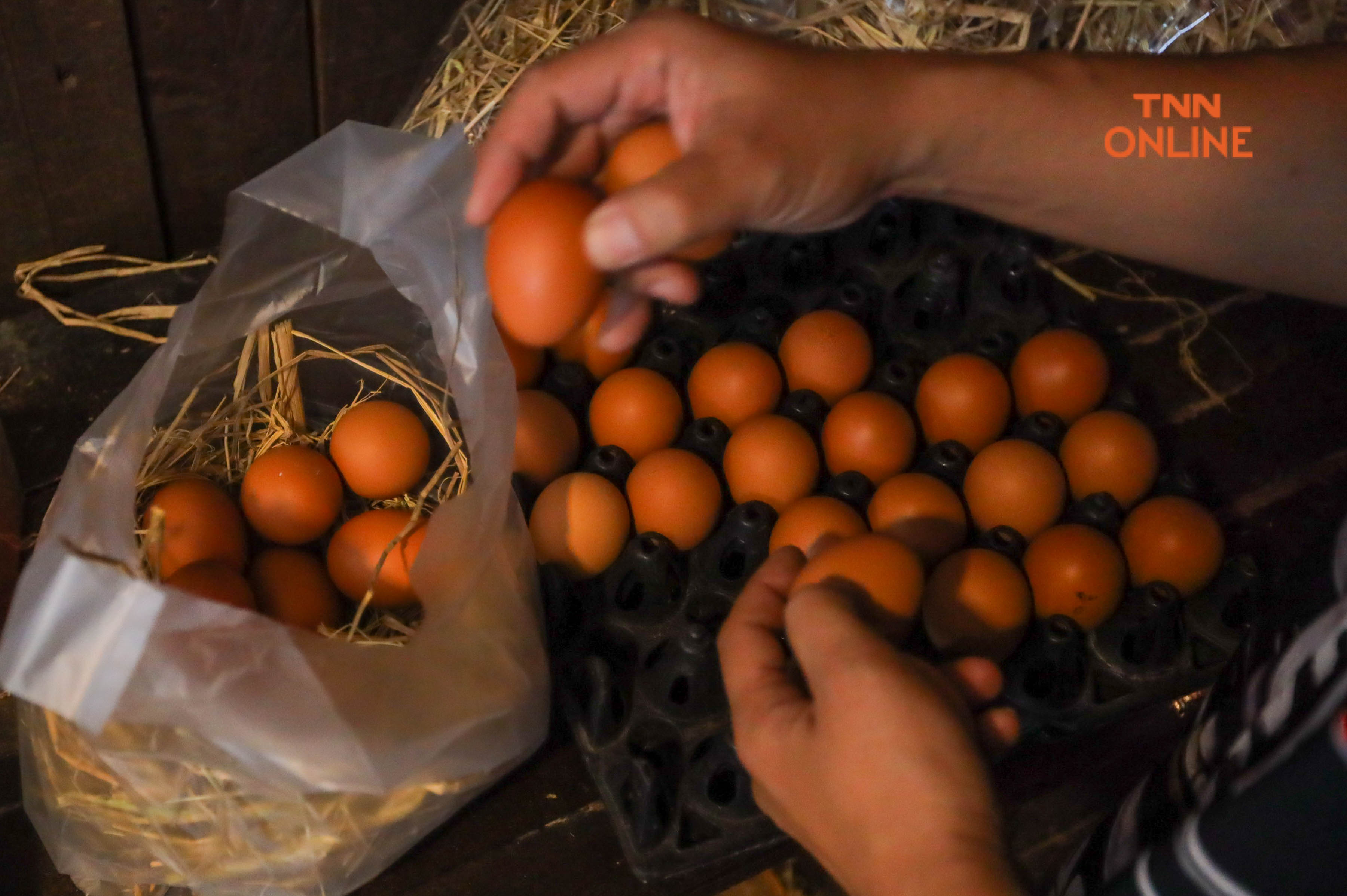 ประมวลภาพ “จักรวาล”ร้านไข่สไตล์วินเทจที่คำนิยามการขายไข่แบบนอกกรอบ