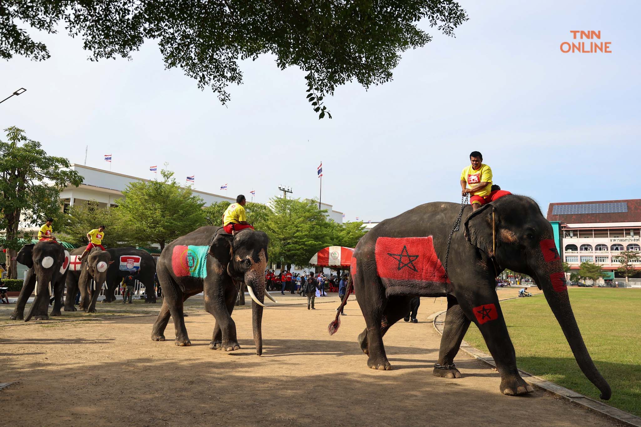 อยุธยาจัด“ช้างเตะบอลกับคน” ร่วมรณรงค์เชียร์บอลโลกไม่เล่นการพนัน