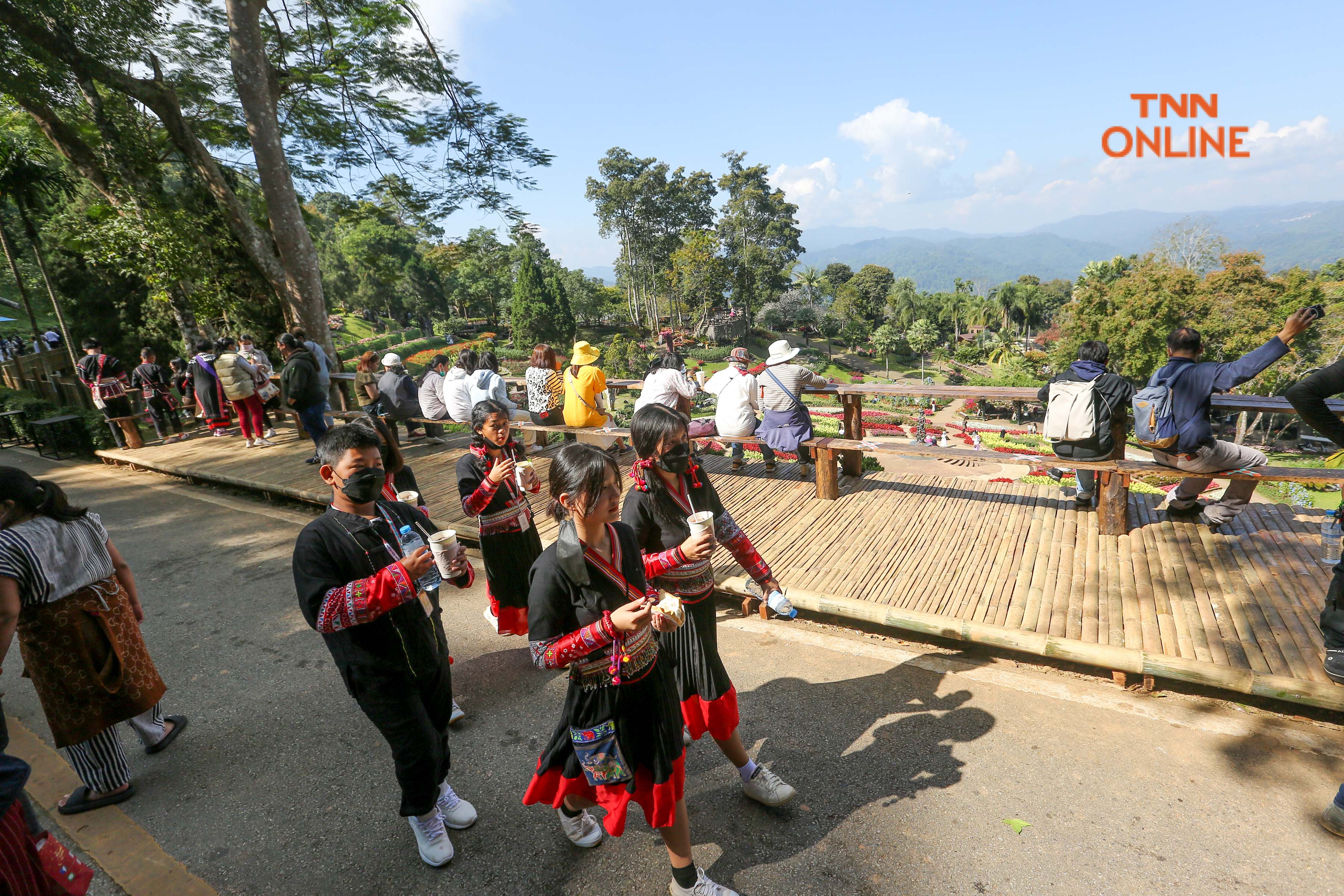 ประมวลภาพ สัมผัสลมหนาวในอ้อมกอดของขุนเขา เที่ยวงาน สีสันแห่งดอยตุง 