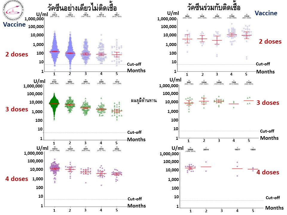 ภูมิต้านทานที่เกิดขึ้นจากการ ติดโควิดร่วมกับวัคซีน จะอยู่แค่ไหน?