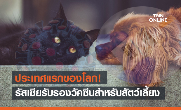 รัสเซีย รับรองวัคซีนโควิดสำหรับ "สัตว์เลี้ยง" คาดเริ่มฉีด เม.ย.นี้