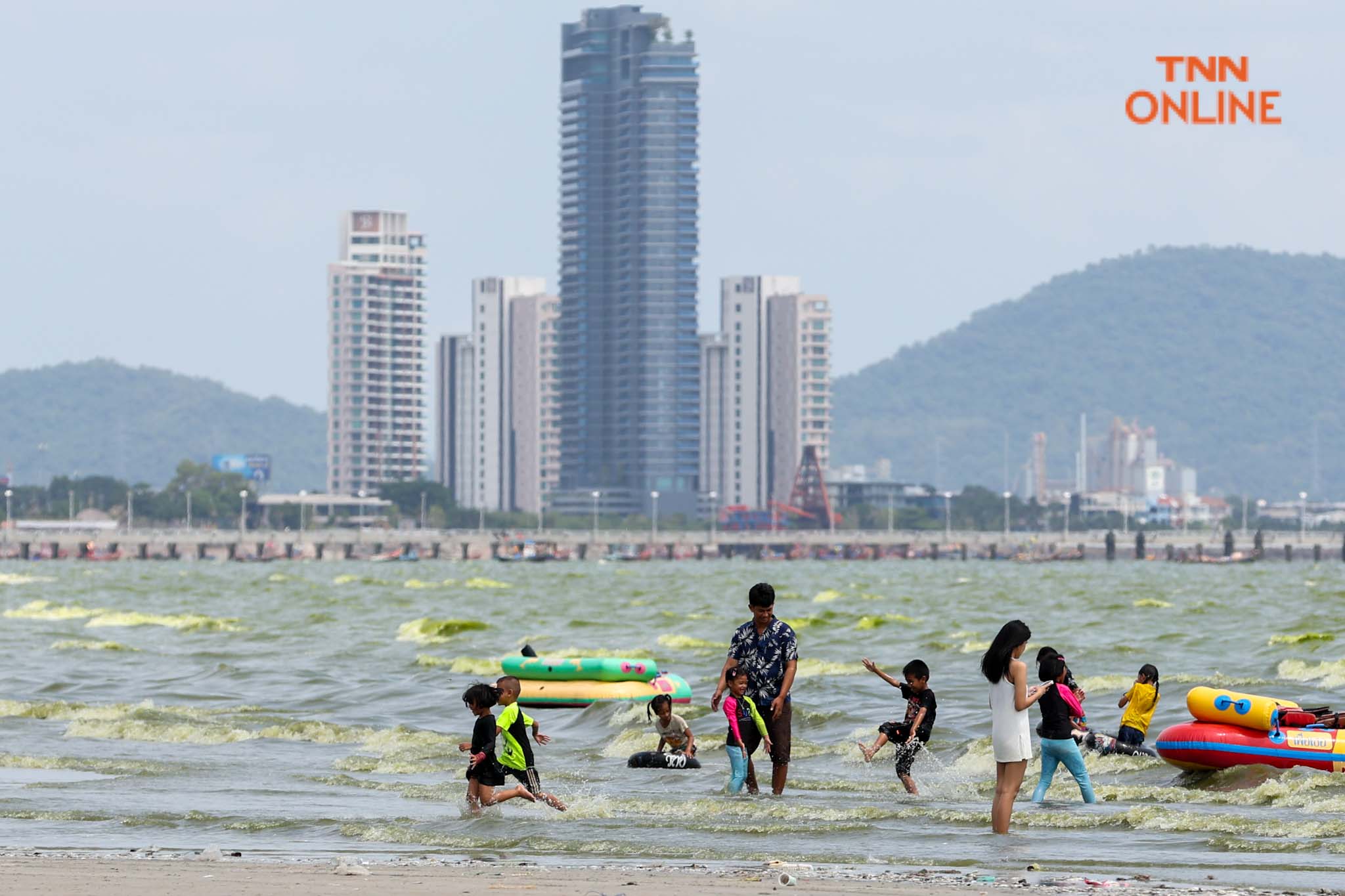 บางแสนน้ำทะเลสีเขียว จาก "แพลงก์ตอนบลูม" กระทบ นทท. บางตา