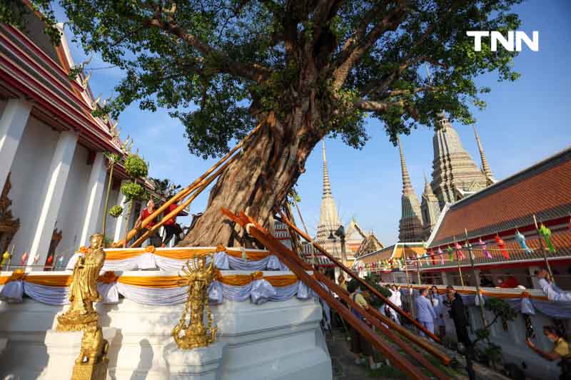 พิธีแห่ไม้คำโพธิ์หลวง เฉลิมพระเกียรติ เนื่องในพระราชพิธีสมมงคล 2568