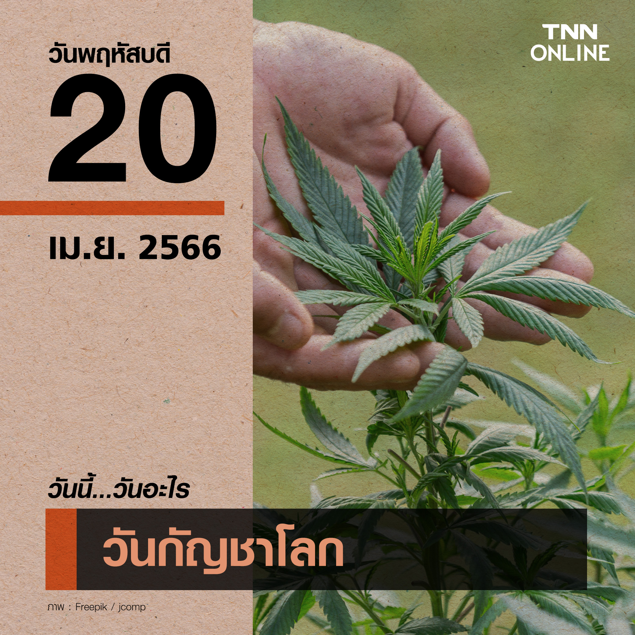 วันนี้วันอะไร วันกัญชาโลก ตรงกับวันที่ 20 เมษายน 