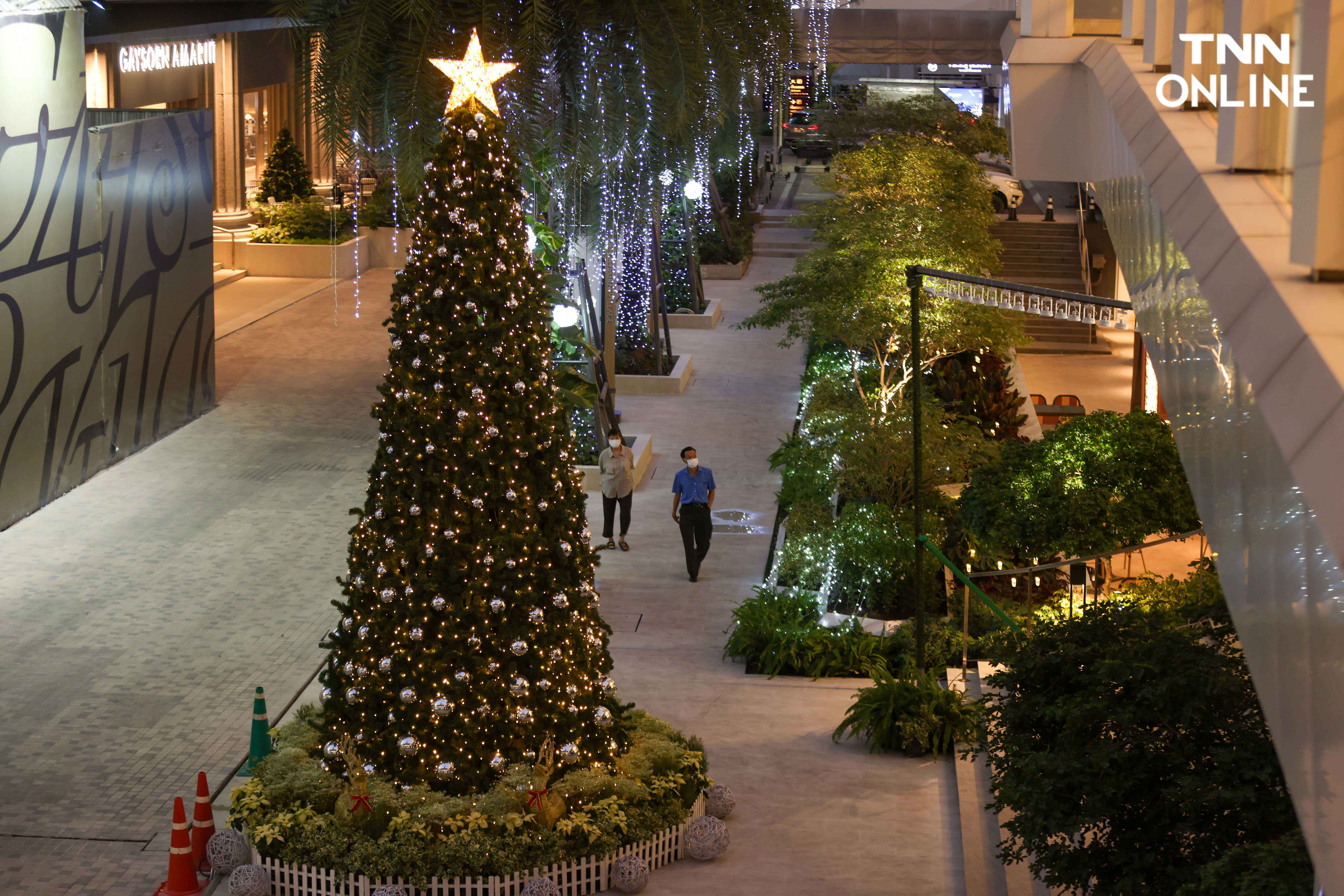 ชมไฟต้นคริสต์มาส รวมจุดเช็คอินถ่ายภาพใจกลางเมือง