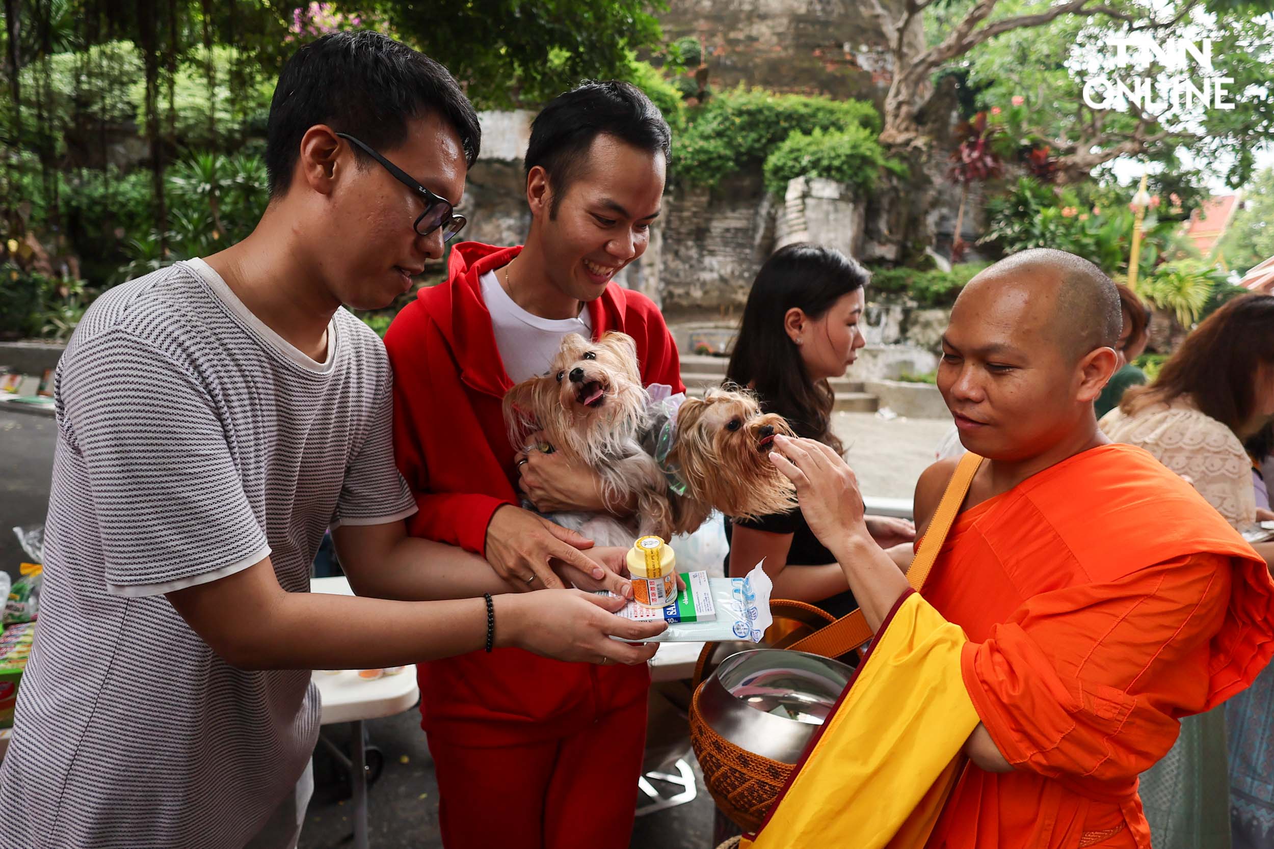 ชาวพุทธแน่นภูเขาทอง ร่วมตักบาตรเทโวเนื่องในวันออกพรรษา