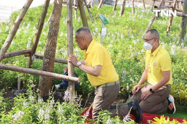 เฉลิมพระเกียรติ พระบาทสมเด็จพระเจ้าอยู่หัว ปลูกต้นไม้มงคลเฉลิมพระชนมพรรษาครบ 6 รอบ