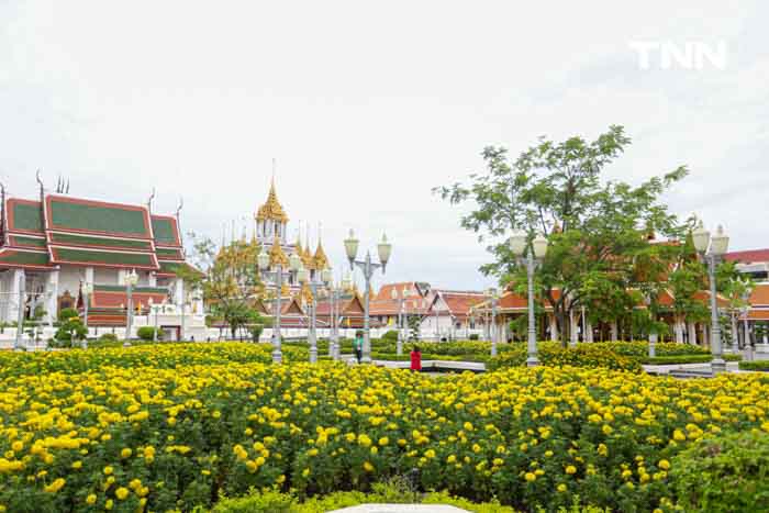 ประดับดอกไม้ เติมสีสันบนถนนประวัติศาสตร์ เฉลิมพระเกียรติในโอกาสพระราชพิธีมหามงคลวันเฉลิมพระชนมพรรษา 2567