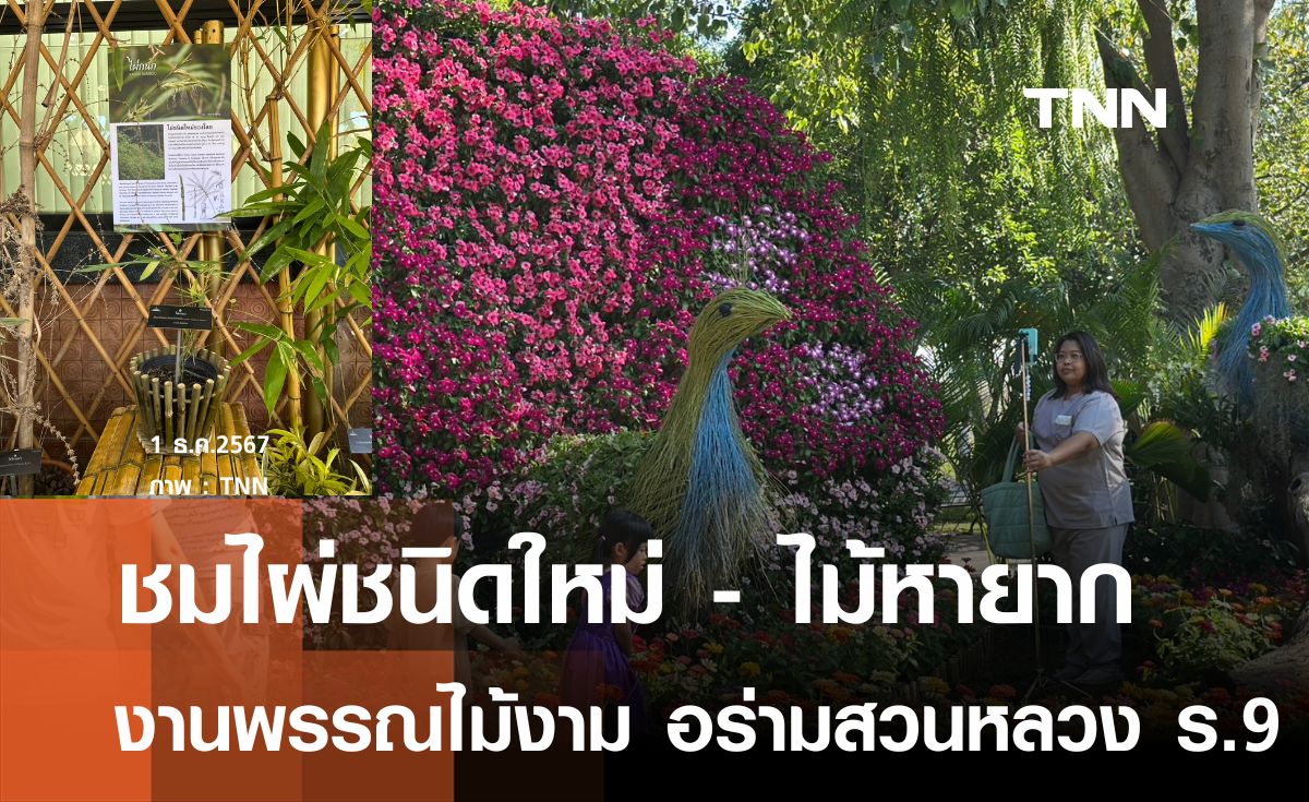 เริ่มแล้ว งานพรรณไม้งามสวนหลวง ร.9 ชมไผ่ชนิดใหม่-พันธุ์ไม้หายากหนึ่งเดียวในไทย