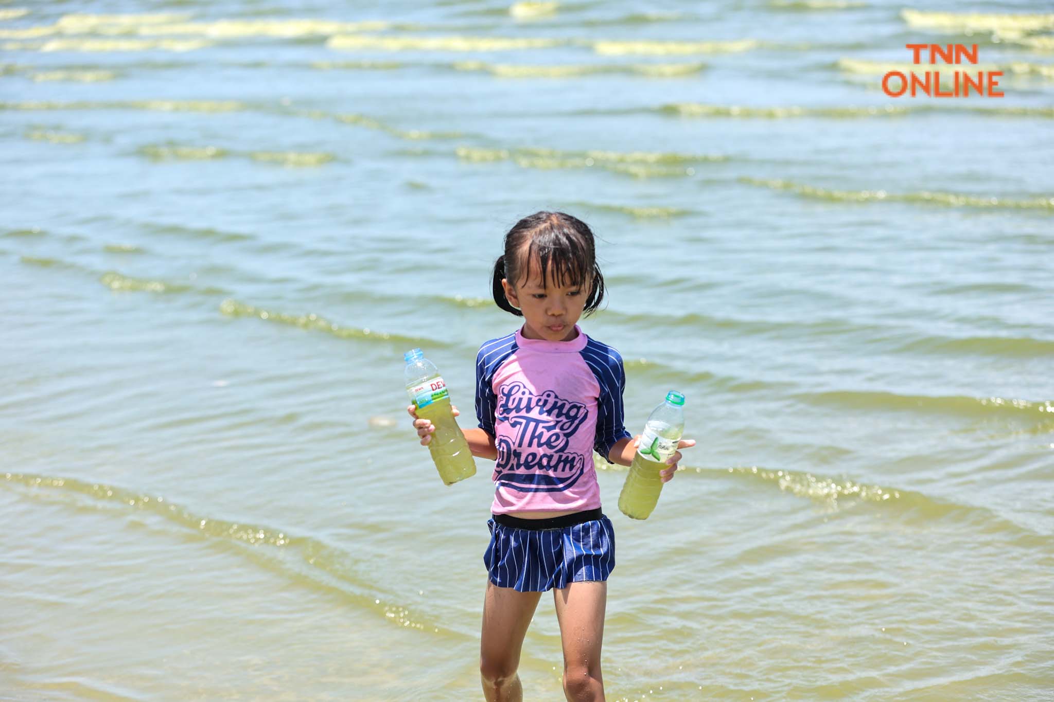 บางแสนน้ำทะเลสีเขียว จาก "แพลงก์ตอนบลูม" กระทบ นทท. บางตา