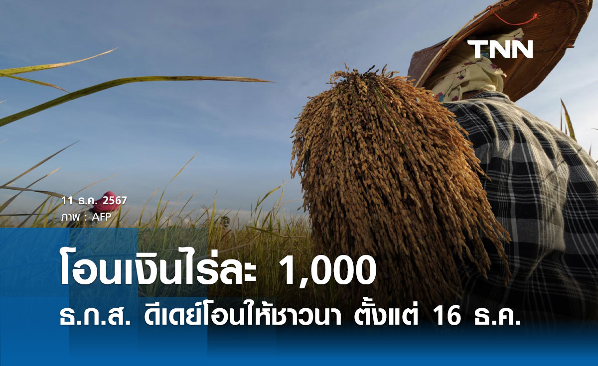 โอนเงินไร่ละพัน! ธ.ก.ส. ดีเดย์โอนให้ชาวนา 4.3 ล้านรายตั้งแต่ 16 ธ.ค. 