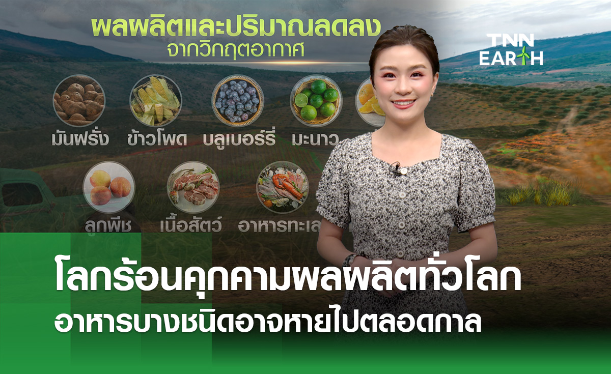 โลกร้อนคุกคามผลผลิตทั่วโลก อาหารบางชนิดอาจหายไปตลอดกาล