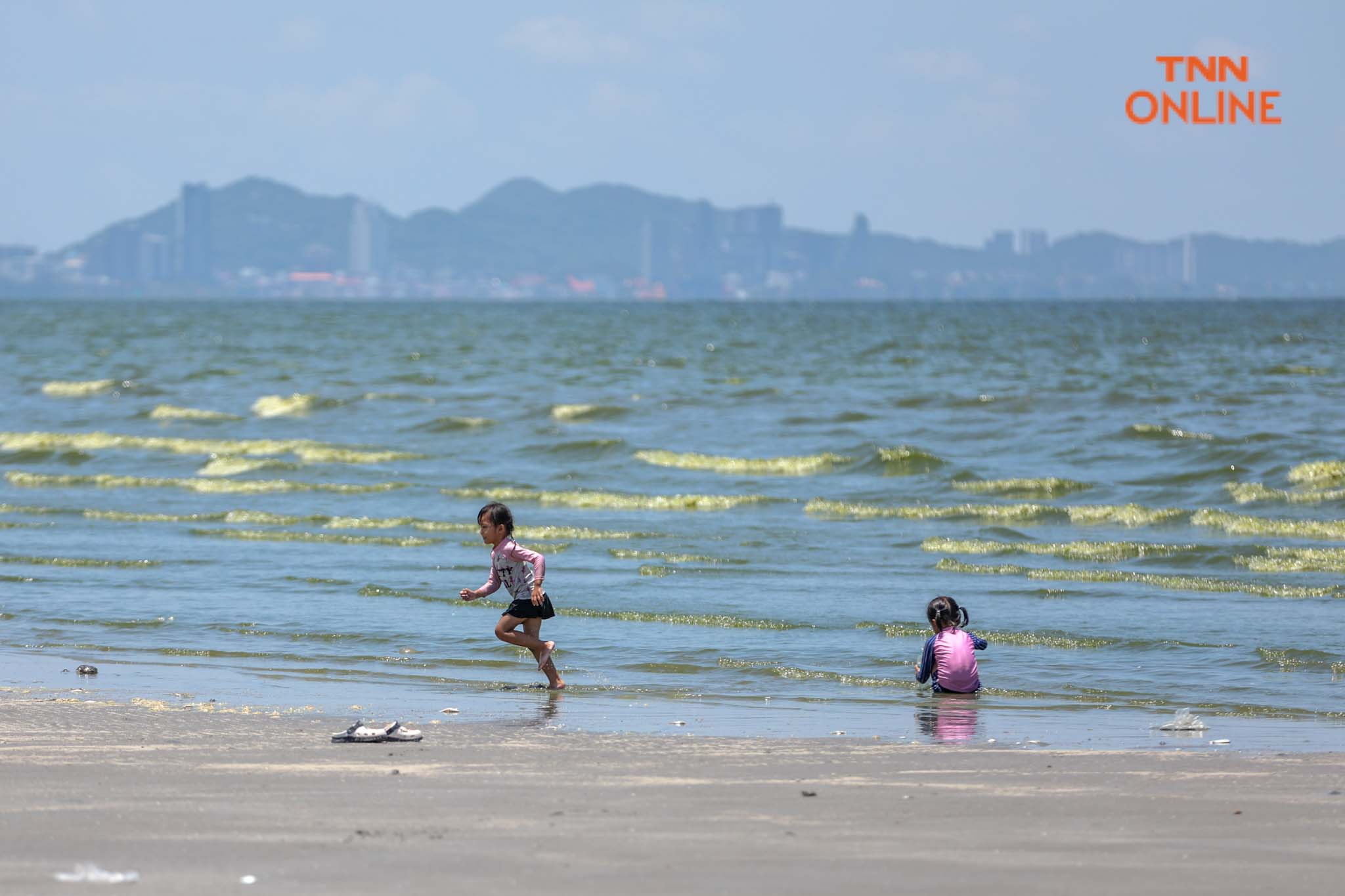 บางแสนน้ำทะเลสีเขียว จาก "แพลงก์ตอนบลูม" กระทบ นทท. บางตา