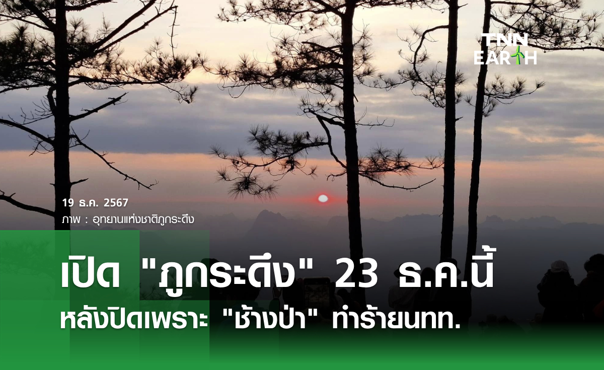 เปิด ภูกระดึง 23 ธ.ค.นี้  หลังปิดเพราะ ช้างป่า ทำร้ายนทท.