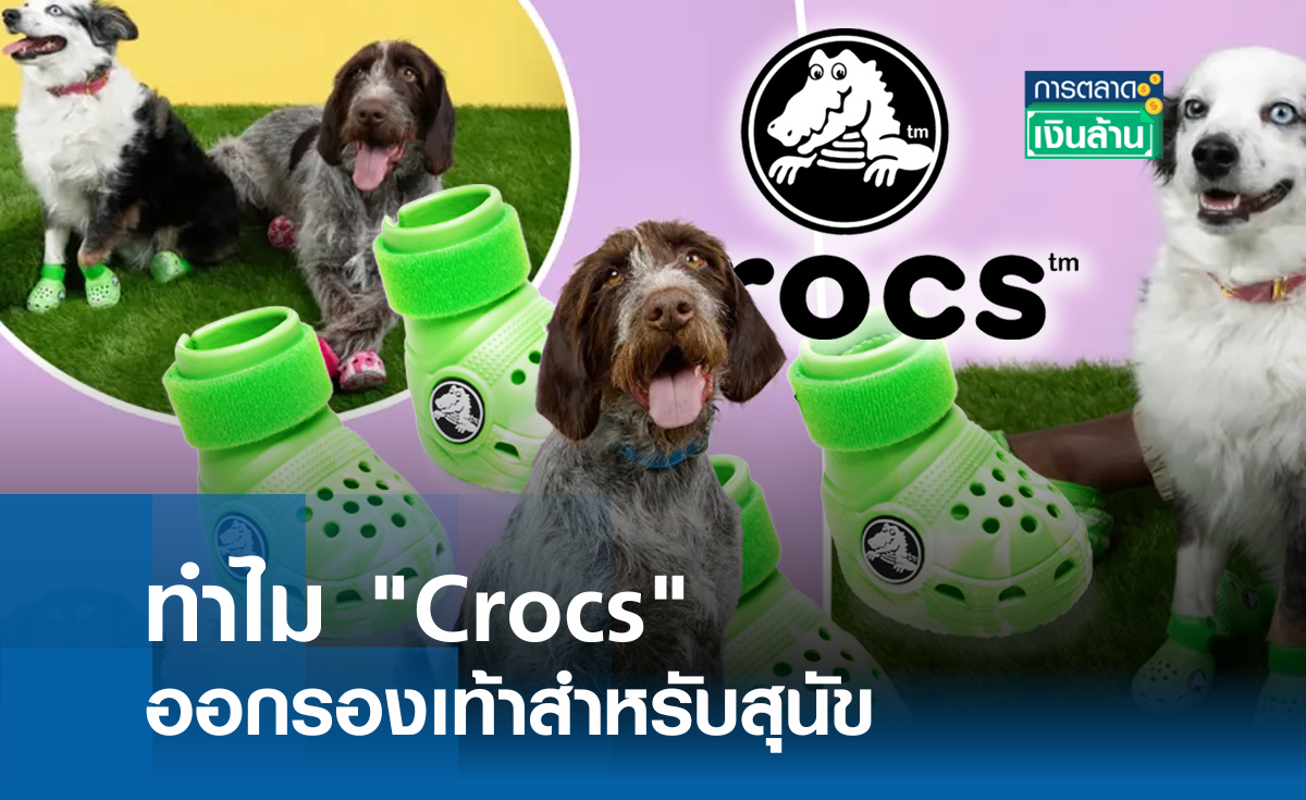 ทำไม Crocs ออกรองเท้าสำหรับสุนัข l การตลาดเงินล้าน