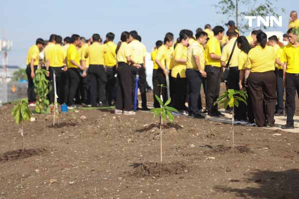 เฉลิมพระเกียรติ พระบาทสมเด็จพระเจ้าอยู่หัว ปลูกต้นไม้มงคลเฉลิมพระชนมพรรษาครบ 6 รอบ