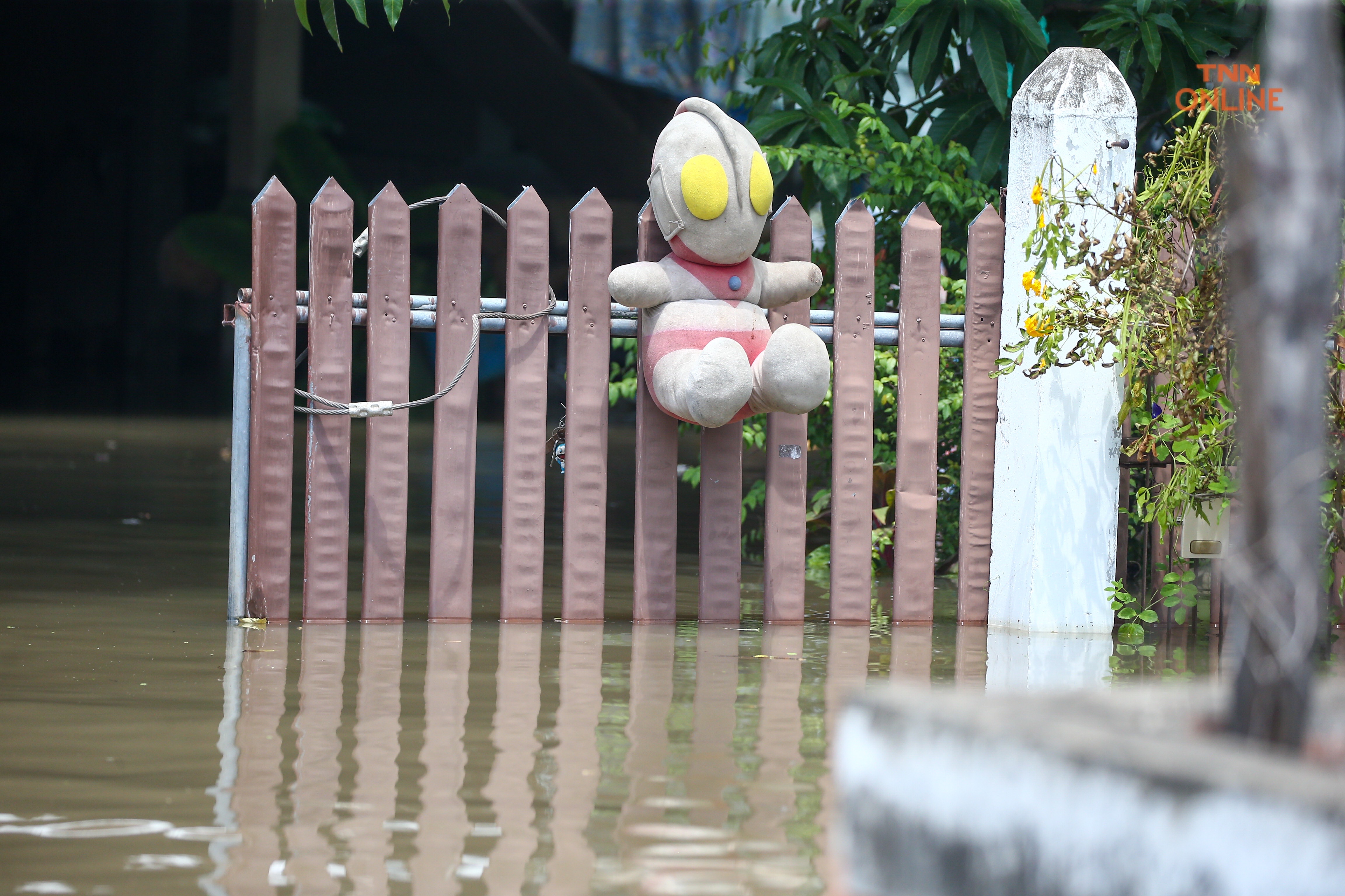 บ้านหมี่ลพบุรีน้ำท่วมสูงประชาชนใช้เรือสัญจรเข้าออกหมู่บ้าน