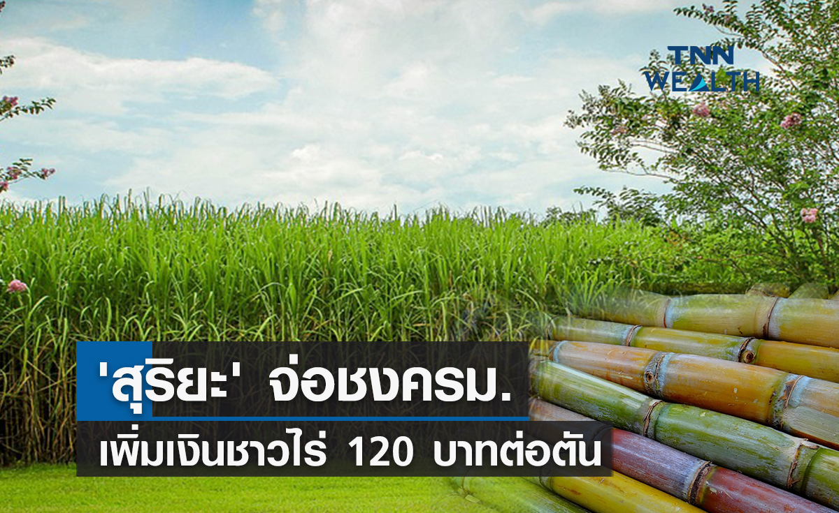 'สุริยะ' จ่อชงครม.เพิ่มเงินชาวไร่ตัดอ้อยสด 120 บาทต่อตัน