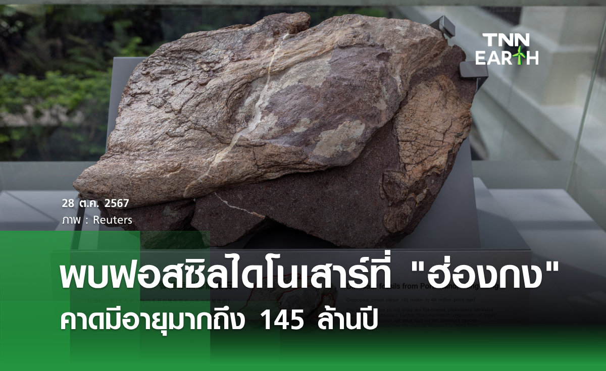 พบฟอสซิลไดโนเสาร์ที่ ฮ่องกง คาดมีอายุมากถึง 145 ล้านปี