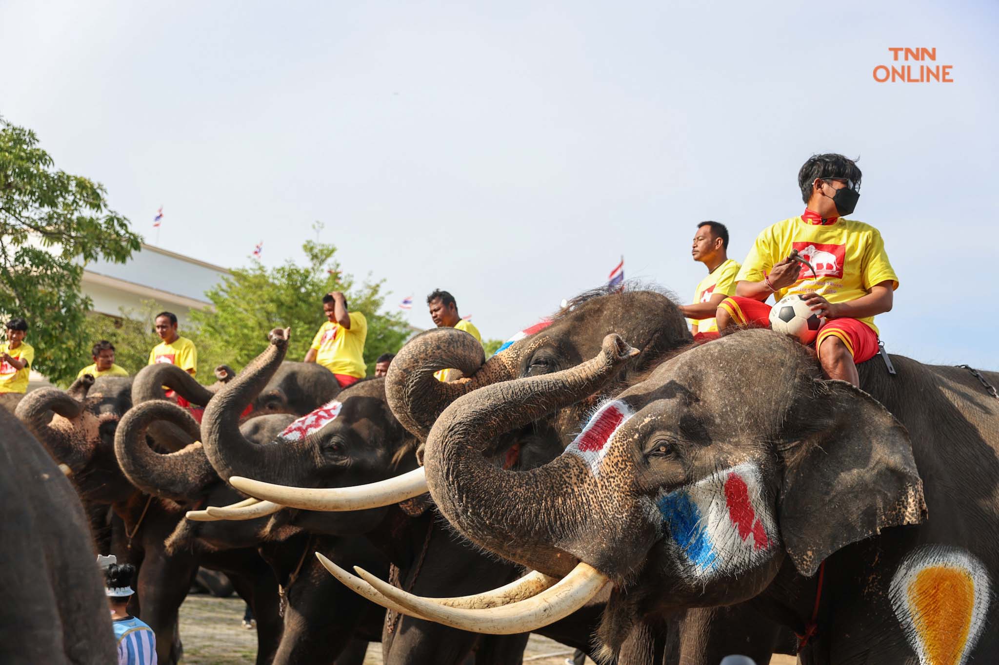 อยุธยาจัด“ช้างเตะบอลกับคน” ร่วมรณรงค์เชียร์บอลโลกไม่เล่นการพนัน