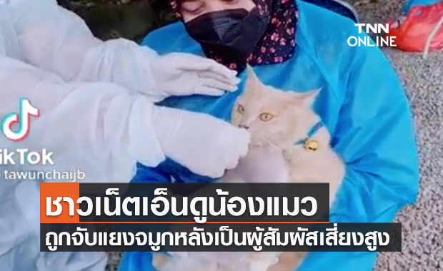 เอ็นดูทั้งโซเชียล! ตรวจ swab โควิด "น้องแมว" หลังเป็นผู้สัมผัสเสี่ยงสูง