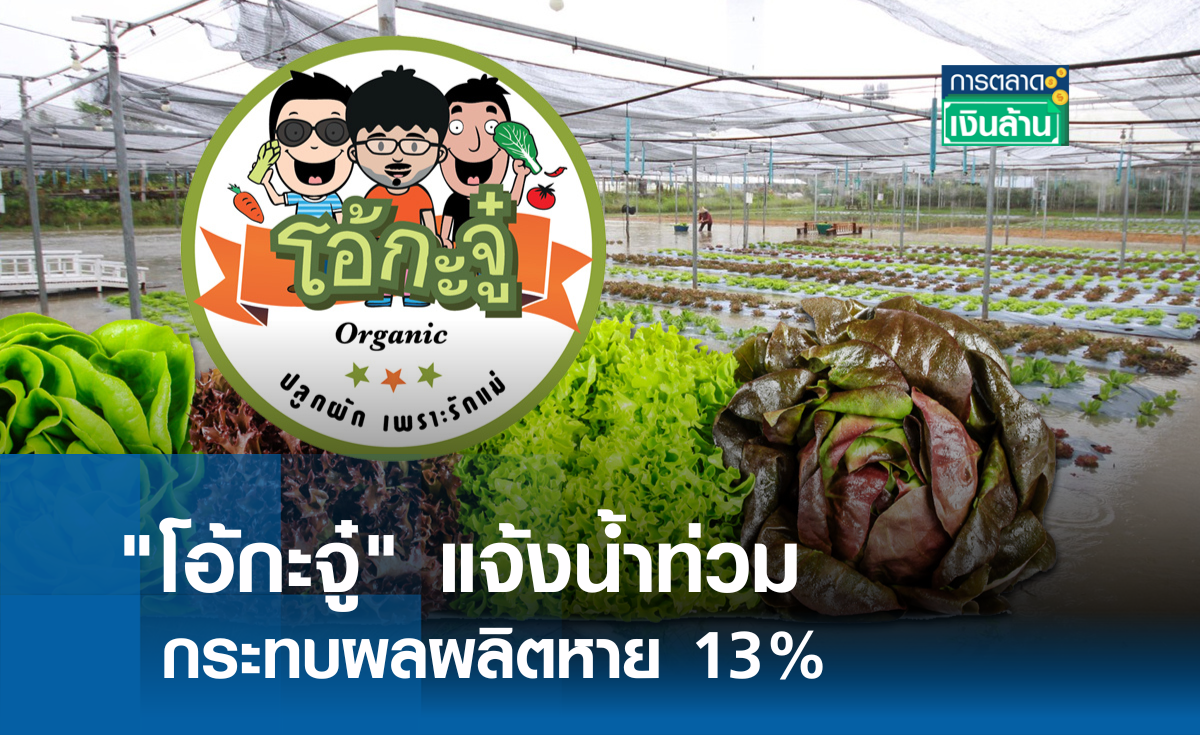 โอ้กะจู๋ แจ้งน้ำท่วมเชียงใหม่กระทบผลผลิตหาย 13% l การตลาดเงินล้าน