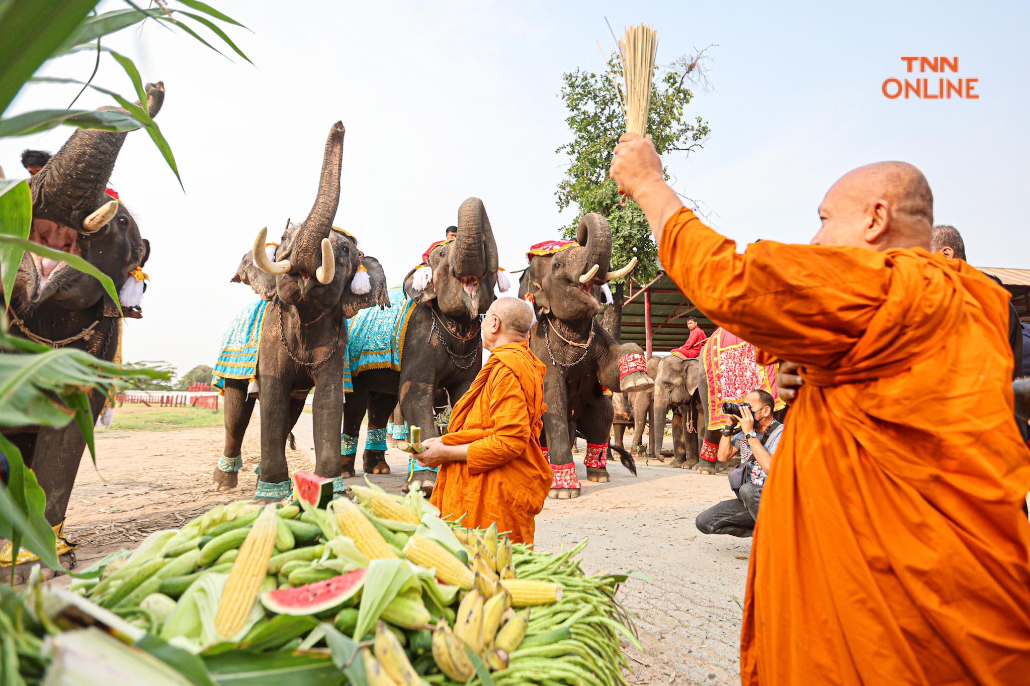 “วันช้างไทย” แลเพนียด ทำบุญ-เลี้ยงอาหารช้าง เพื่อเป็นสิริมงคล