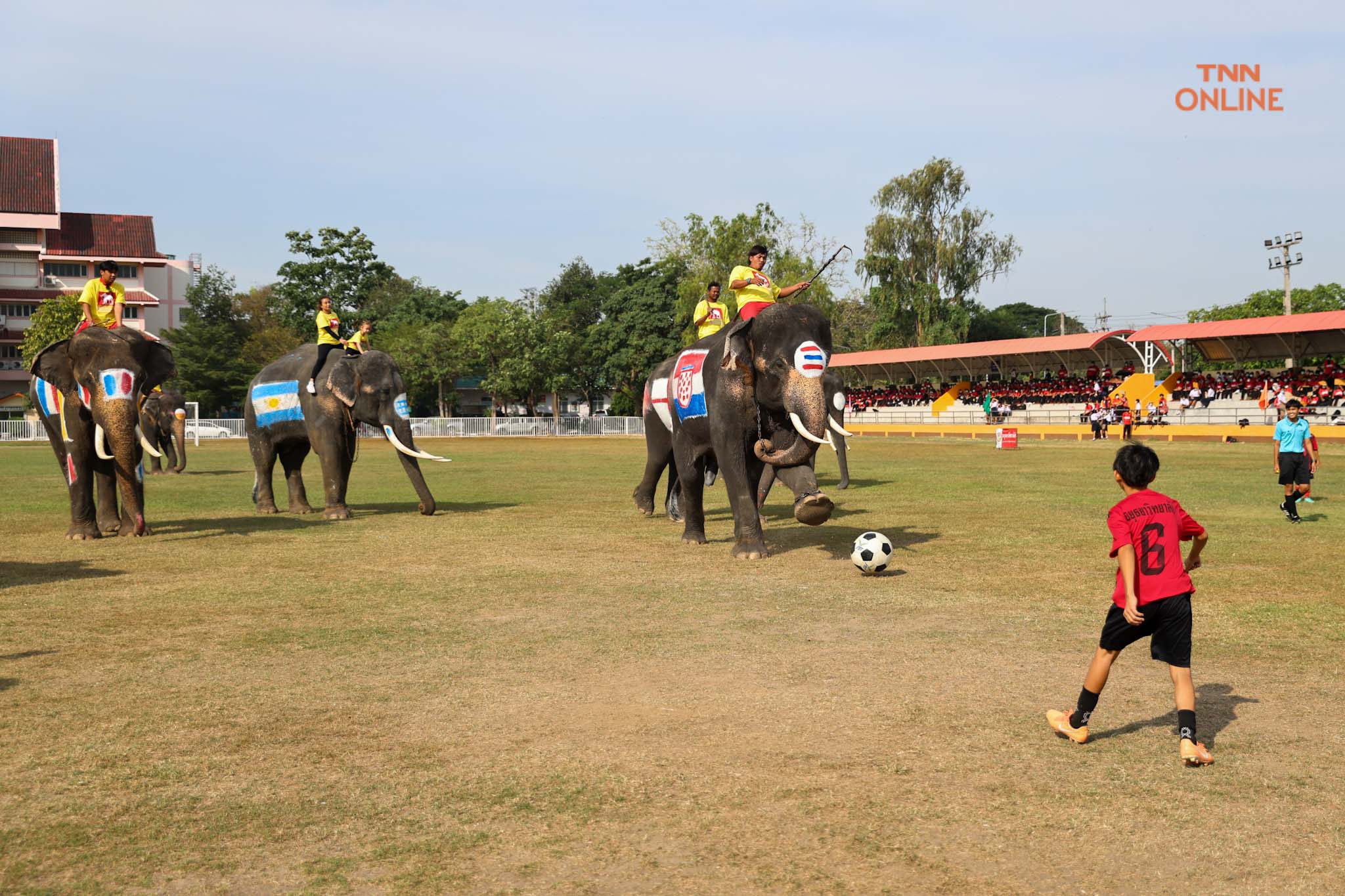 อยุธยาจัด“ช้างเตะบอลกับคน” ร่วมรณรงค์เชียร์บอลโลกไม่เล่นการพนัน